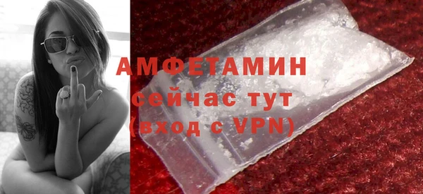 ECSTASY Алзамай
