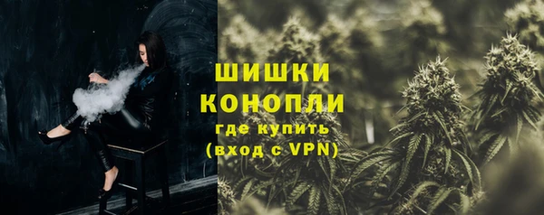 индика Абаза