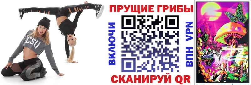 купить закладку  Александров  гидра онион  Галлюциногенные грибы GOLDEN TEACHER 